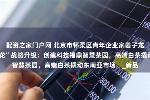 配资之家门户网 北京市怀柔区青年企业家姜子龙赋能高端品牌“白缇花”战略升级：创建科技福鼎智慧茶园，高端白茶撬动东南亚市场。_新品
