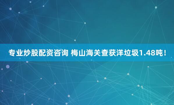 专业炒股配资咨询 梅山海关查获洋垃圾1.48吨！