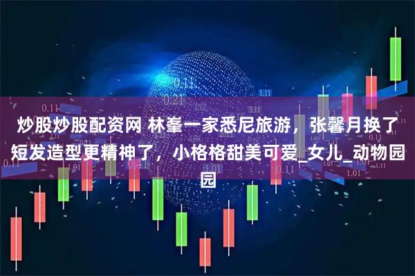 炒股炒股配资网 林峯一家悉尼旅游，张馨月换了短发造型更精神了，小格格甜美可爱_女儿_动物园